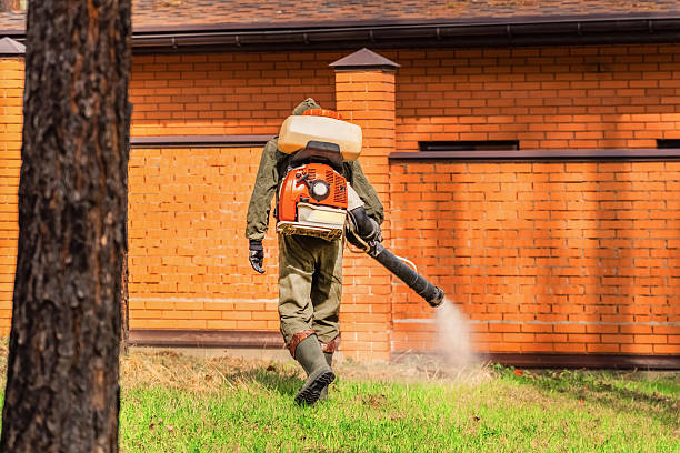 Top rated local Wasp Removal specialists in Purcell, OK